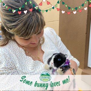 Meet your Posher, Noemi